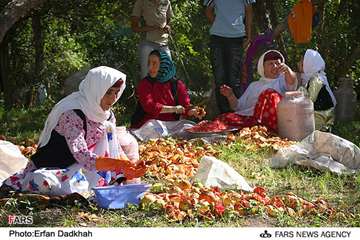 زنان روستایی